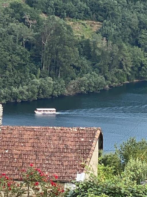 Casa Do Feligres E Da Alsira Villa Nogueira de Abaixo Eksteriør bilde