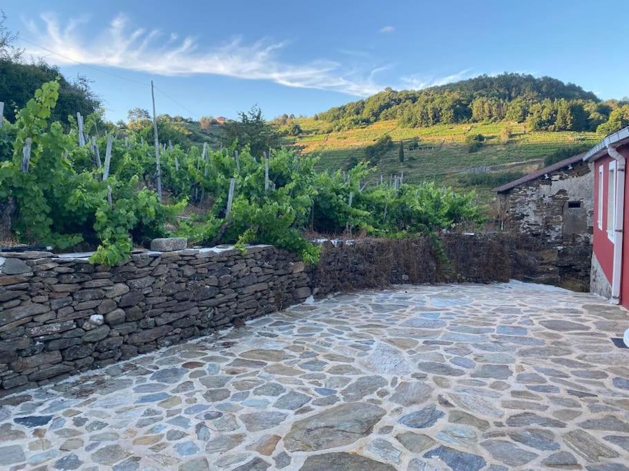 Casa Do Feligres E Da Alsira Villa Nogueira de Abaixo Eksteriør bilde